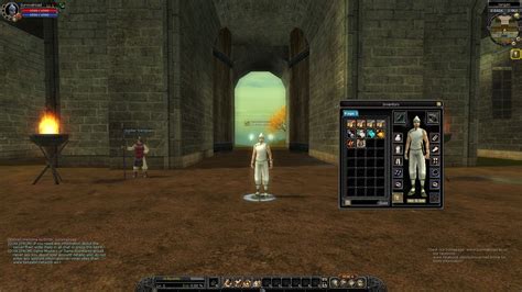 mmo private server 2021.